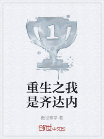 重生之我是齊達內