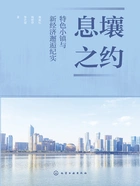 息壤之约:特色小镇与新经济邂逅纪实在线阅读