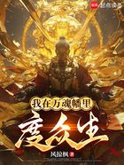 我在万魂幡里度众生在线阅读