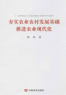 夯实农业农村发展基础  推进农业现代化