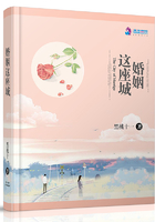 婚姻这座城在线阅读