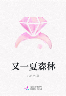又一夏森林