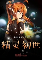 精灵初世在线阅读