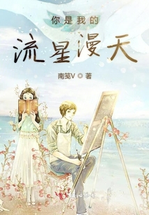 你是我的流星漫天