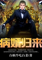 病婿归来