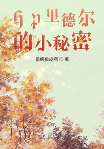HP里德爾的小秘密