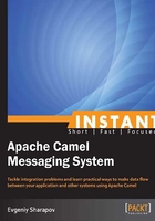 Instant Apache Camel Messaging System在線閱讀