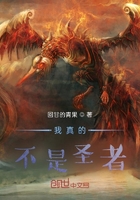 我真的不是圣者！在線閱讀