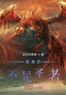 我真的不是圣者！