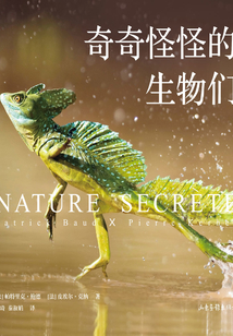 奇奇怪怪的生物们