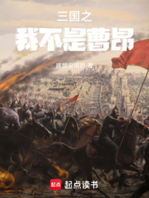 三國之我不是曹昂