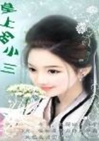 皇上的小三