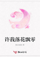 許我落花飄零在線閱讀