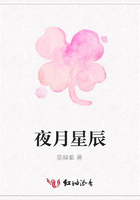 夜月星辰在線閱讀