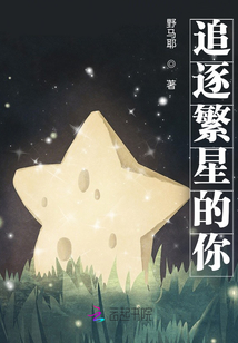 追逐繁星的