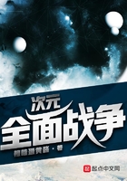 次元全面战争