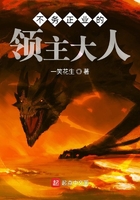 不務正業的領主大人在線閱讀