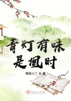 青燈有味是凰時(shí)在線閱讀