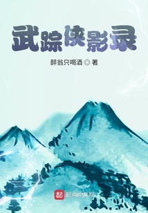 武踪侠影录