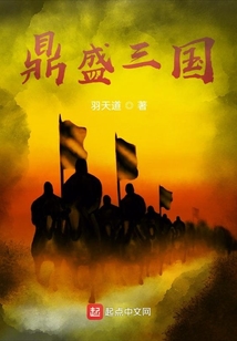 鼎盛三國