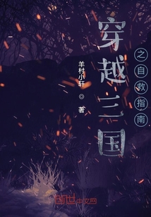穿越三國之自救指南