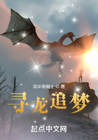 寻龙追梦在线阅读