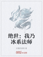 绝世：我乃冰系法师在线阅读