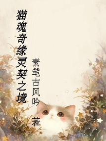 貓魂奇緣:靈契之境