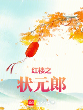 红楼之状元郎在线阅读