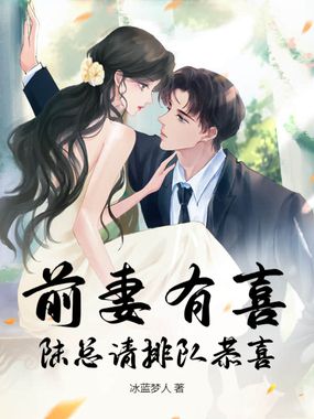 前妻有喜,陆总请排队恭喜在线阅读