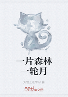 一片森林一輪月在線閱讀