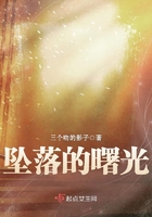墜落的曙光在線閱讀