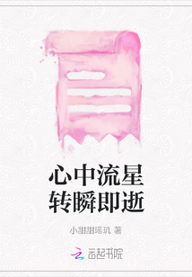 心中流星转瞬即逝