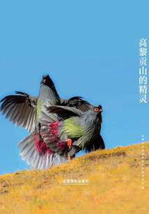 畫冊:高黎貢山的精靈(上下冊)