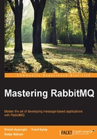 Mastering RabbitMQ在線閱讀
