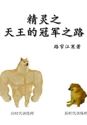 精灵之天王的冠军之路在线阅读