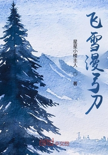 飛雪漫弓刀