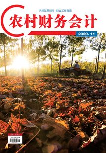 農(nóng)村財(cái)務(wù)會(huì)計(jì)(2020年第11期)