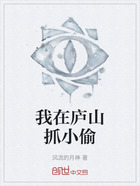 我在庐山抓小偷在线阅读