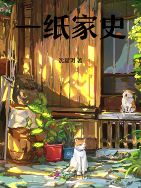 一纸家史在线阅读