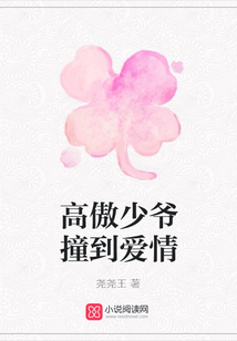 高傲少爺撞到愛情