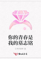 你的青春是我的墓志銘在線閱讀