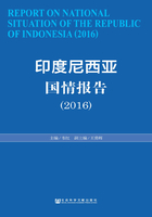 印度尼西亚国情报告（2016）在线阅读