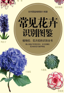 常见花卉识别图鉴