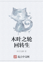 木叶之轮回转生在线阅读