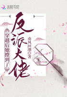 穿越后她撩到了反派大佬在線閱讀