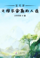 宝可梦之阿尔宙斯的人选在线阅读