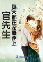官先生每天都在宠妻路上