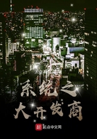 系統之大開發商在線閱讀