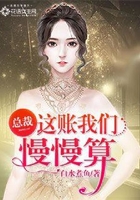 总裁,这账我们慢慢算在线阅读